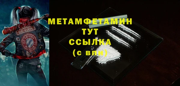 прущие грибы Костерёво