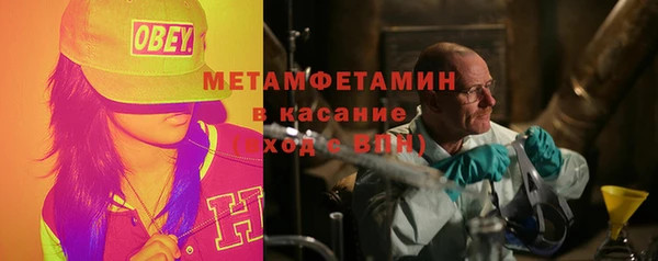 прущие грибы Костерёво