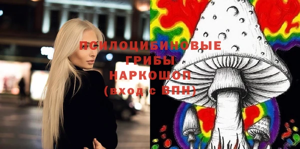 прущие грибы Костерёво