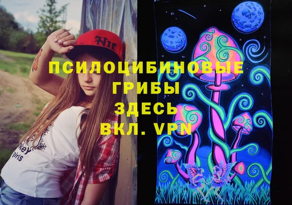 a pvp Коряжма