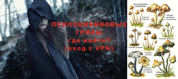 прущие грибы Костерёво