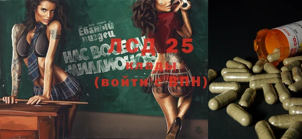 прущие грибы Костерёво