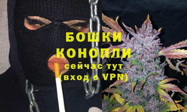 прущие грибы Костерёво