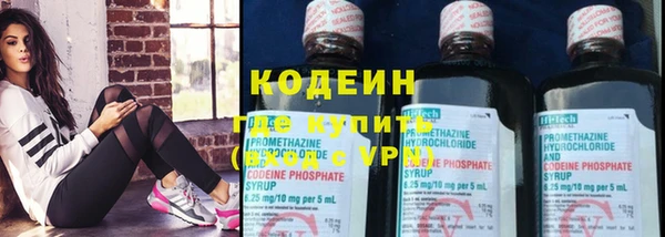 прущие грибы Костерёво
