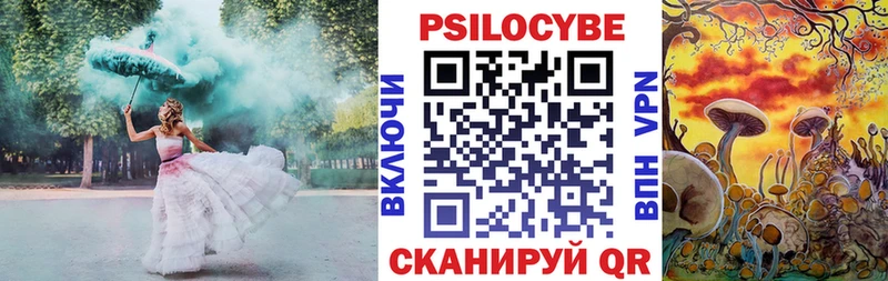 сколько стоит  Поворино  Псилоцибиновые грибы GOLDEN TEACHER 